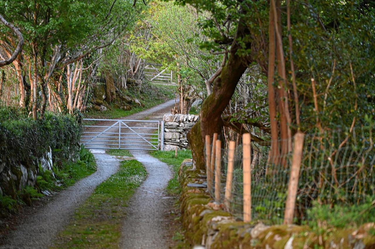 Ty Gwennol Near Gilfach Goch Llanbedr (Gwynedd) Exterior foto